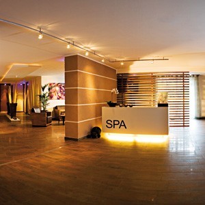 spa-business-plan