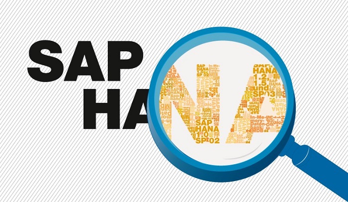  SAP HANA For A Promising IT Career.